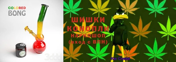 тгк Бородино