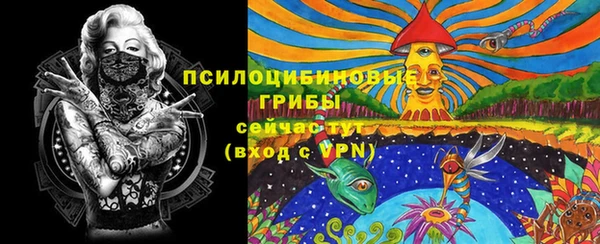 марки lsd Богородицк