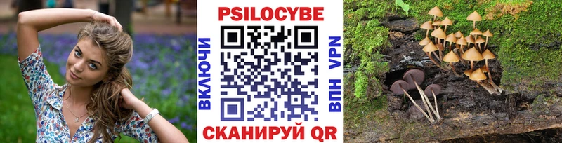 Псилоцибиновые грибы GOLDEN TEACHER  Симферополь 